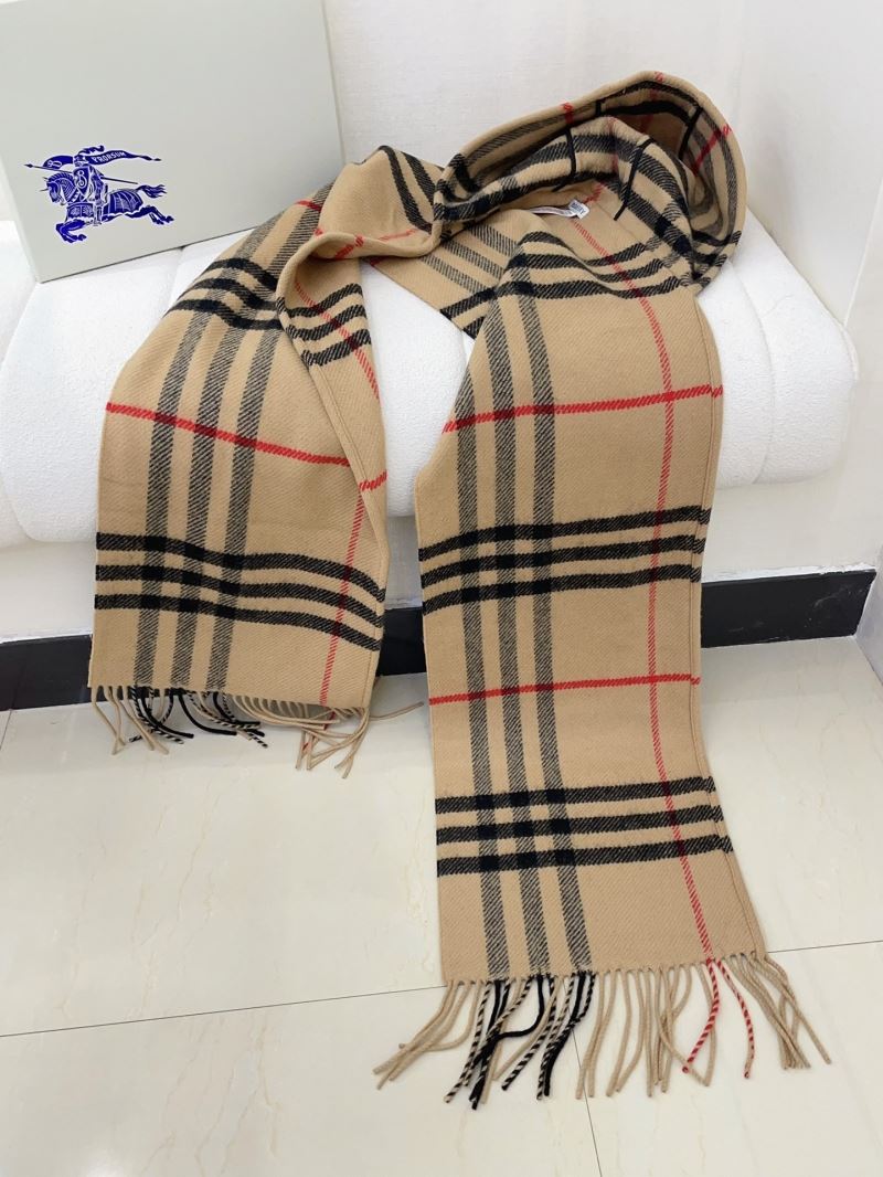 Burberry Caps Scarfs